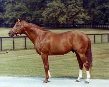 Secretariat Tops List of the Fastest Belmont Stakes Times in History.